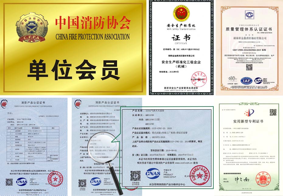 IG541資質(zhì)證書